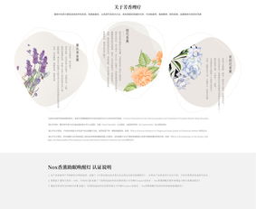 軟件開發(fā) 關(guān)鍵要素、參數(shù)與用戶體驗(yàn)分析